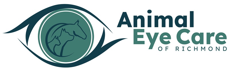 Animal Eye Care of Richmond