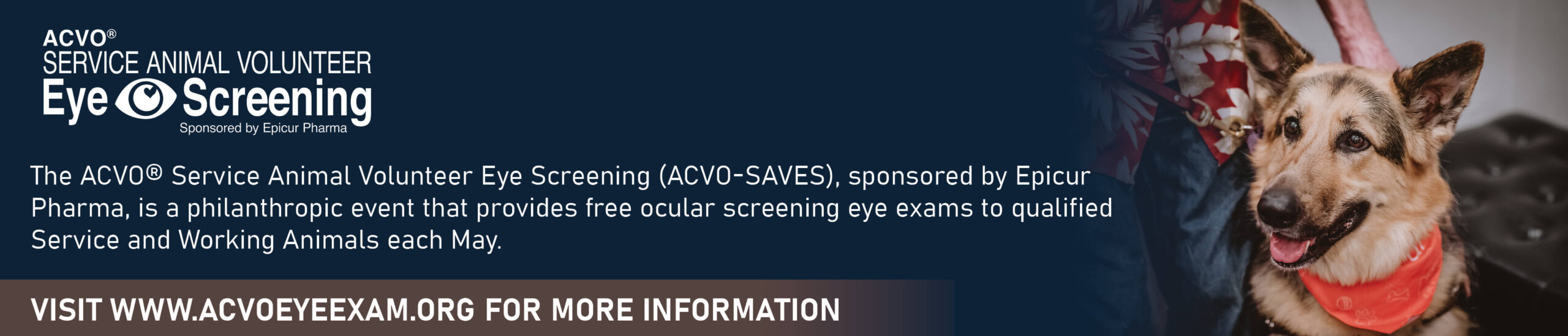 ACVO marketing WEB BANNER ACVO marketing banner